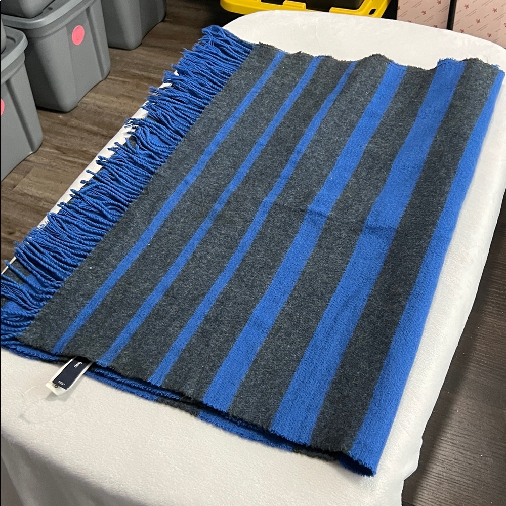 GAP Blue & Gray Stripe Scarf with Fringe